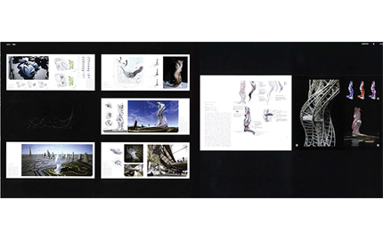 Damdi- Portfolio