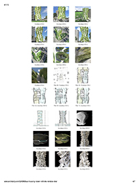 Archdaily