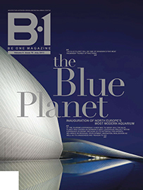B1- magazine